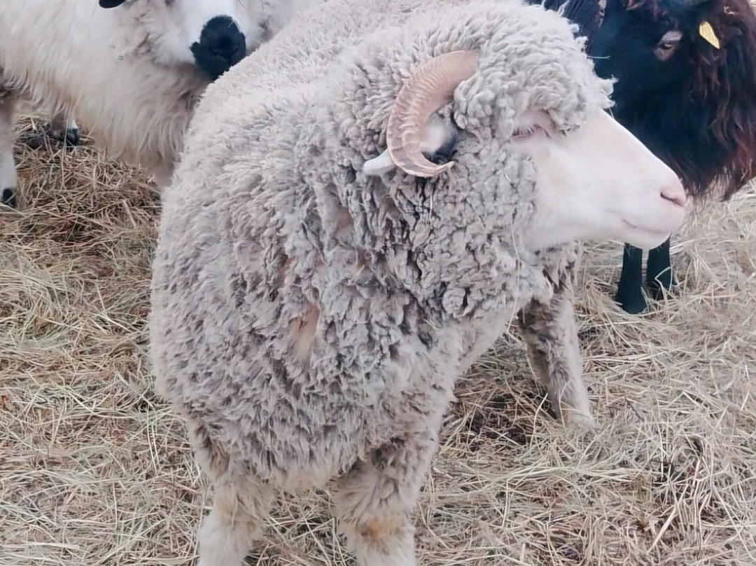La Mini Ferme De Crots