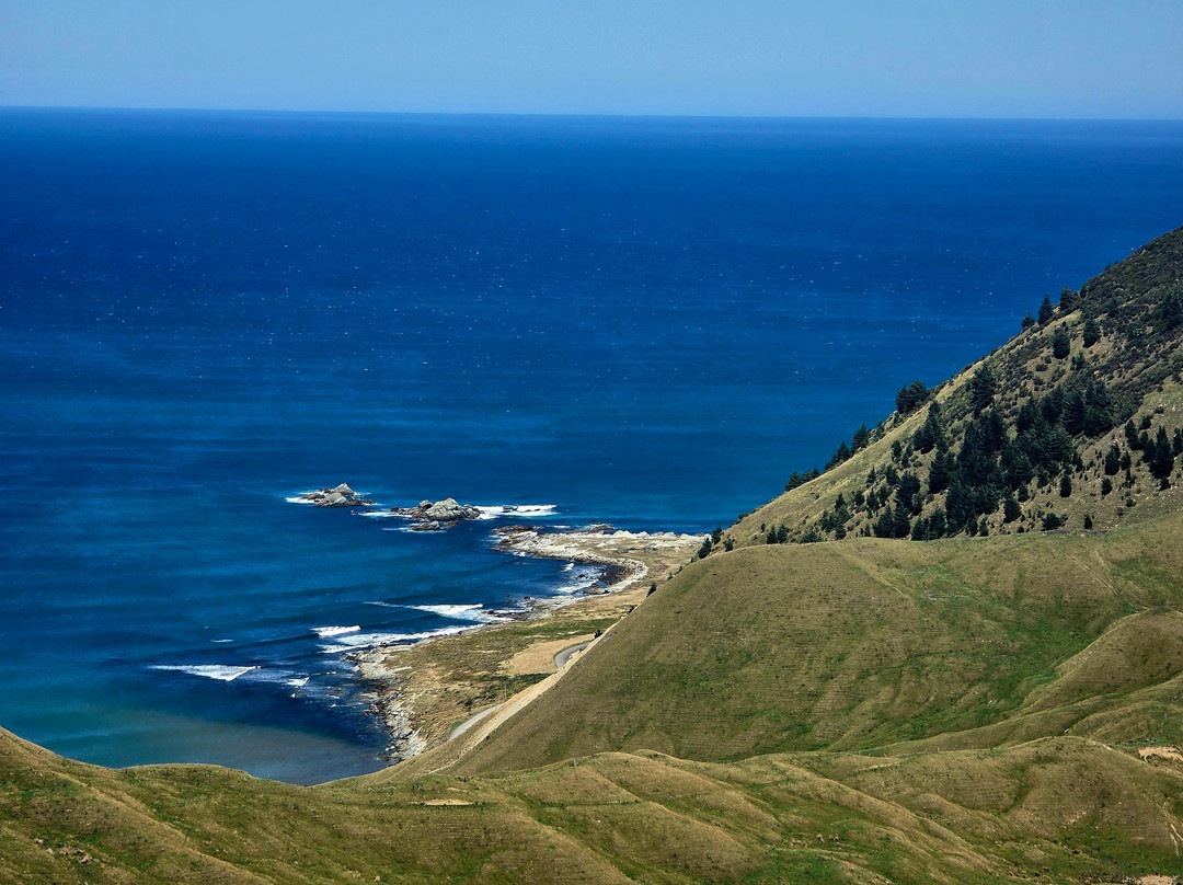 Tora Coastal Walk-马丁堡必去景点