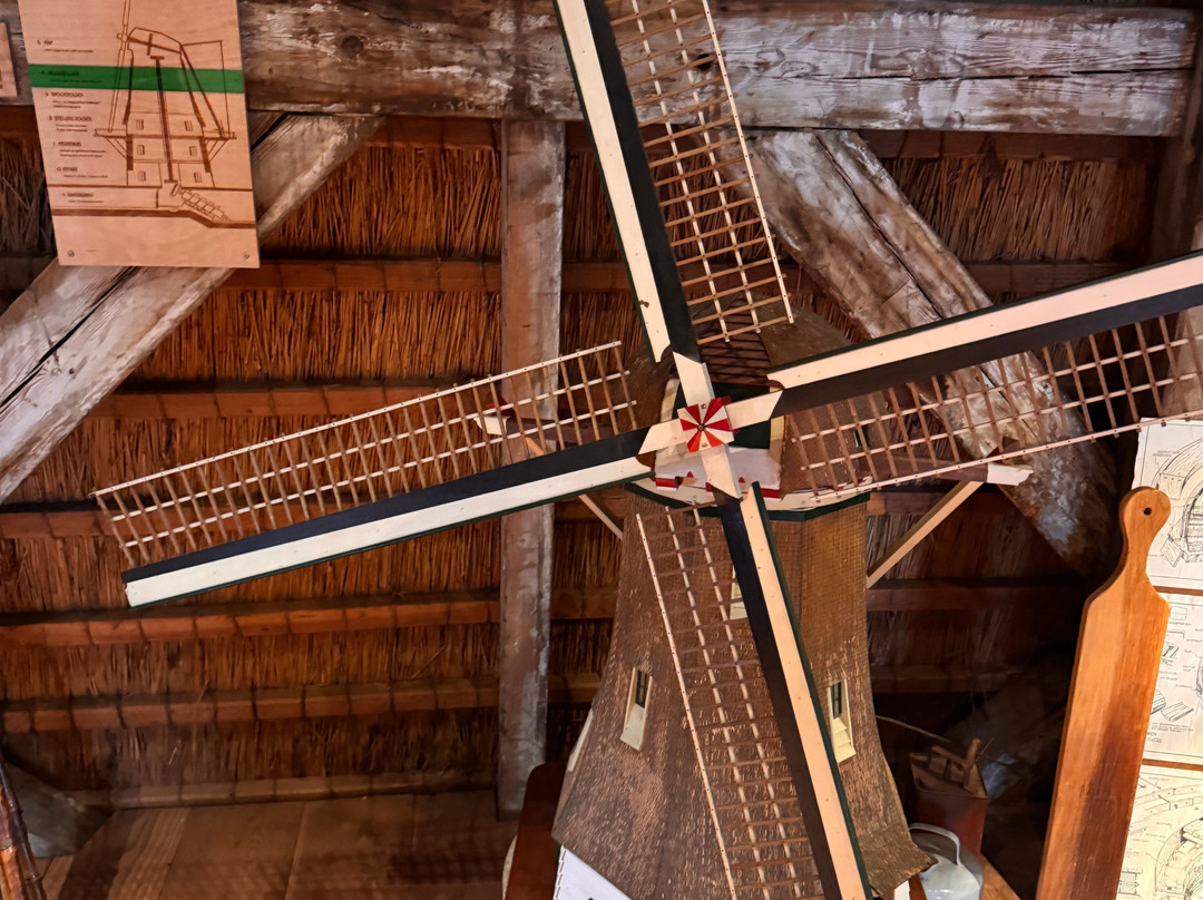 Molen Van Sloten-阿姆斯特丹必去景点