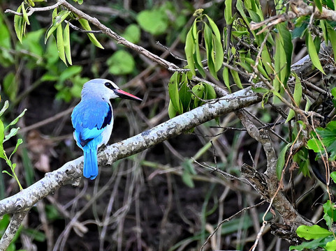 Pearl Nature Holidays-坎帕拉必去景点