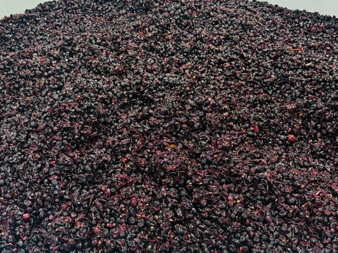 Doolhof Wine Estate-惠灵顿必去景点