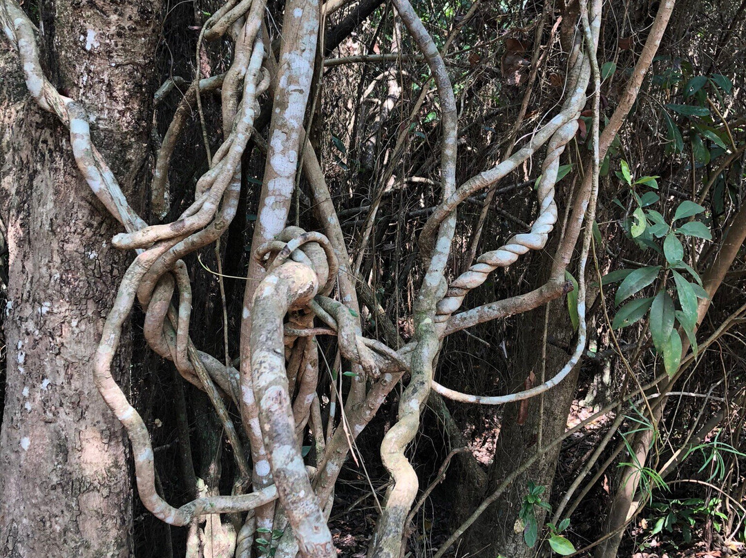 Beddegana Wetland Park-斯里贾亚瓦德纳普拉必去景点