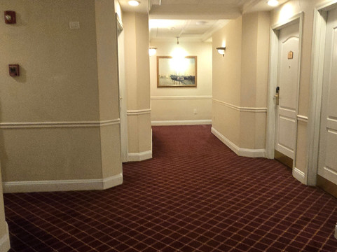 萨菲皇家豪华中心酒店主图