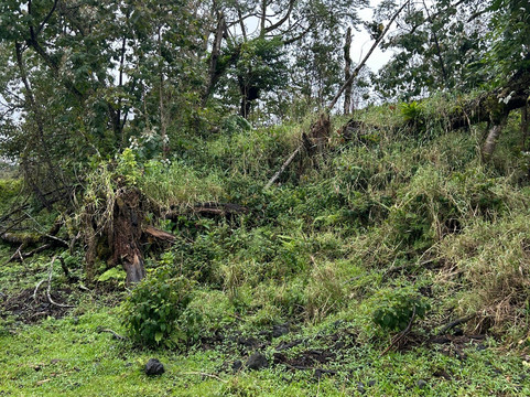 Ohana Ranch-山景城必去景点