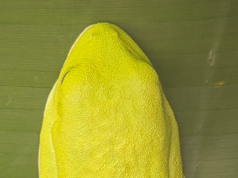 Paddle 9-哥斯达黎加安东尼奥国家公园必去景点