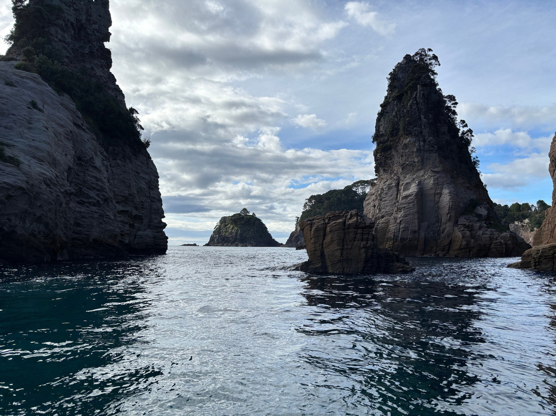 Ocean Leopard - Cathedral Cove Boat Tours-菲蒂昂格必去景点
