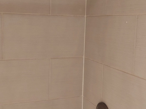 棕榈花园贝斯特韦斯特酒店主图