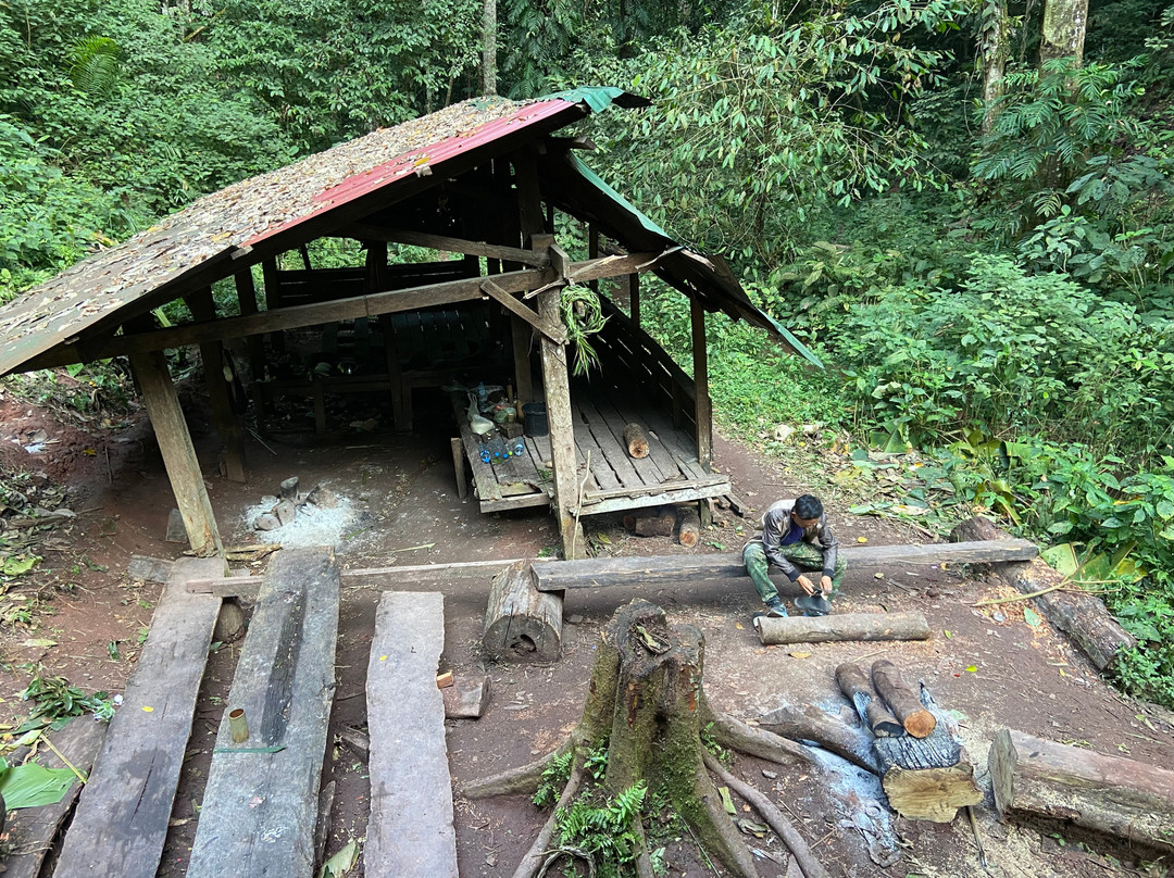 Into the Wild Laos-琅南塔必去景点