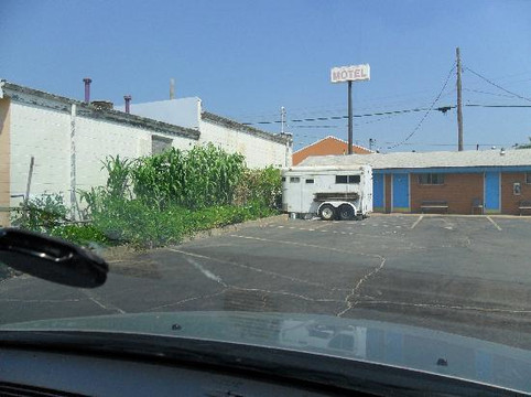 Skyliner Motel主图