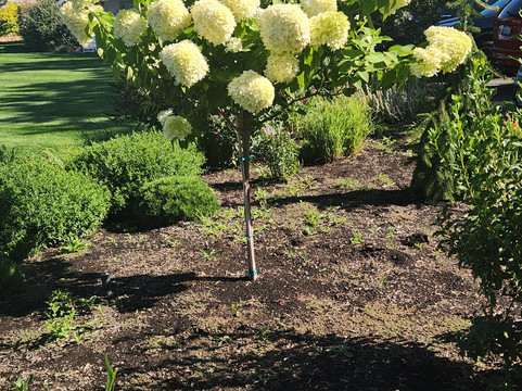 Abeja-瓦拉瓦拉必去景点