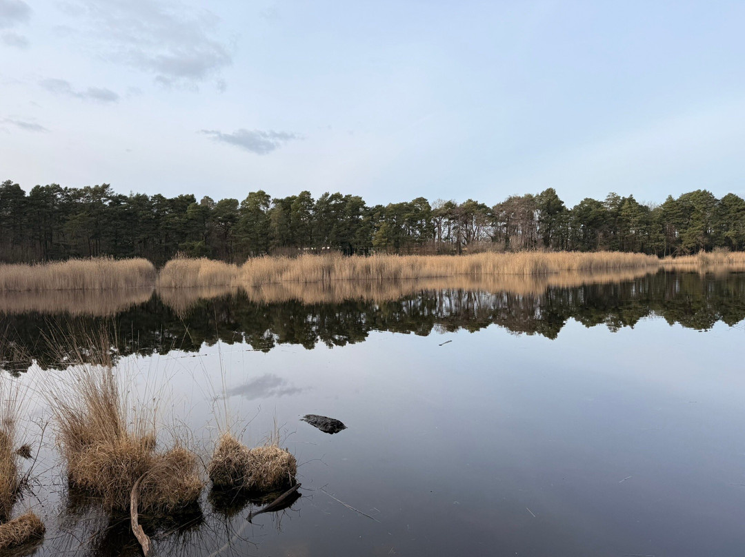 Englemere Pond-Ascot必去景点