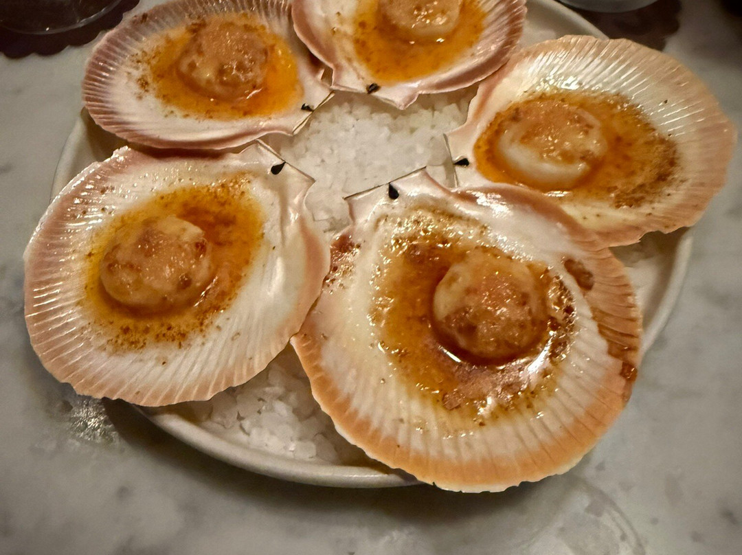 Folly's Bar And Bistro Cammeray