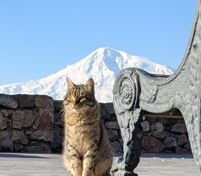Yerani Travel-埃里温必去景点