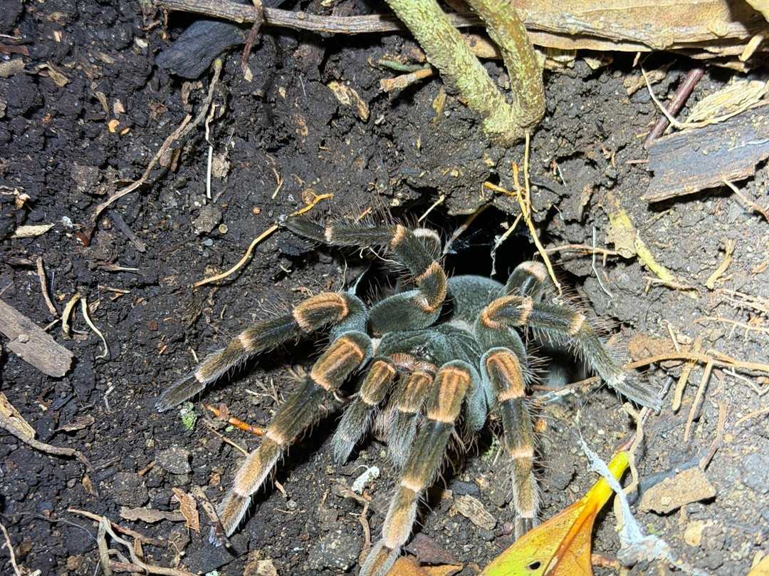 Finca Modelo Ecologica-蒙特沃德必去景点