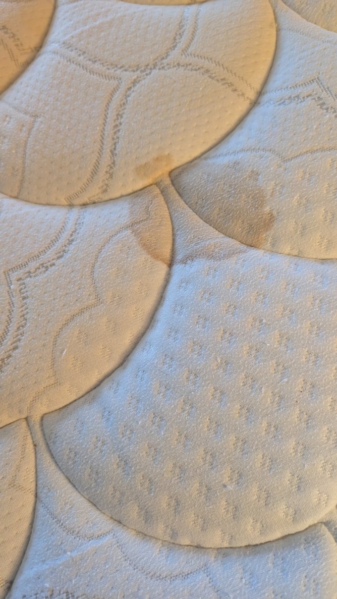 菲德里克希尔顿惠庭酒店-客卧