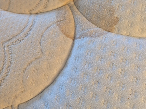 菲德里克希尔顿惠庭酒店主图