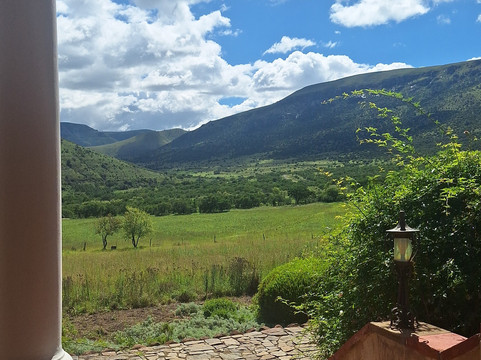 Waylands Country House主图