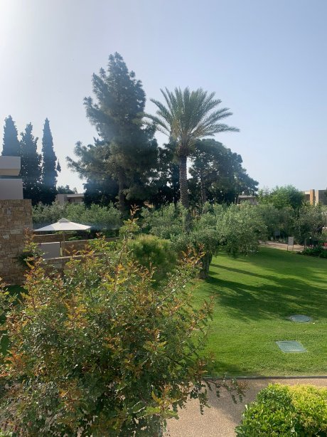 奥利维亚酒店-官方