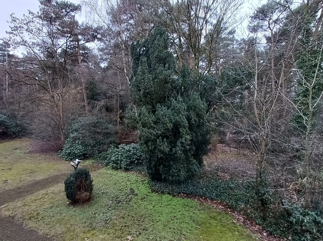 弗莱彻酒店主图