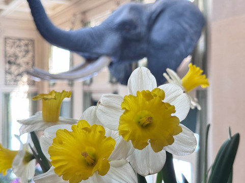 乔治伊士曼博物馆-罗切斯特必去景点