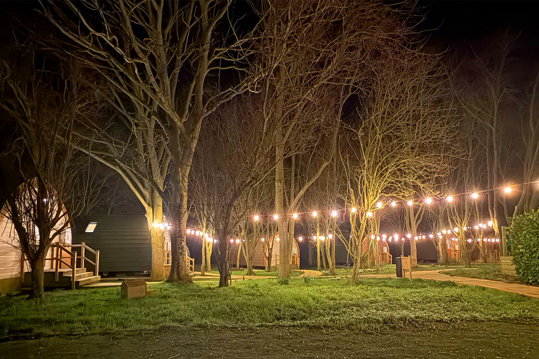 Carlton Manor-官方