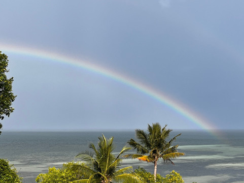 Mafia Island Diving-马菲亚岛必去景点