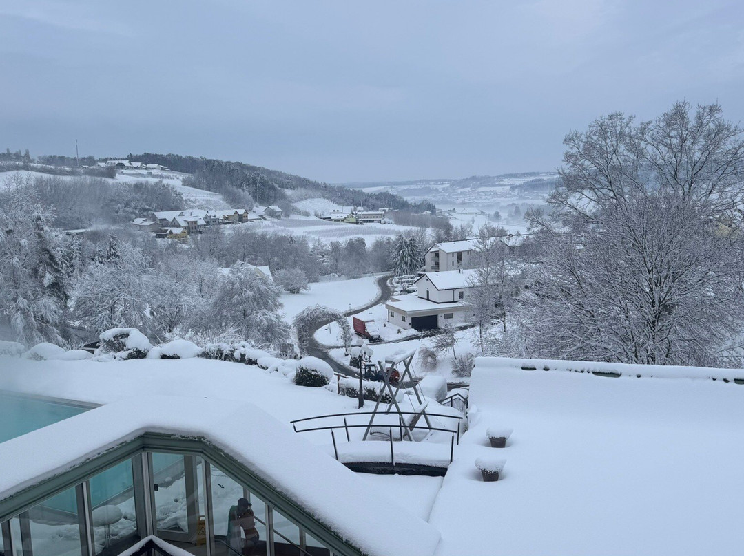 Wilfinger Bio Thermen Hotel主图