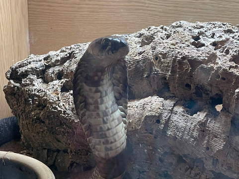 Crocs R Us-Filton必去景点