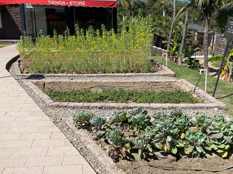 Rancho Orgánico El Edén-新瓦雅塔必去景点