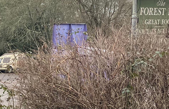 The Forest Inn, Ashurst