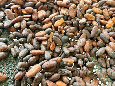 Finca Paraiso Organico-福德圣卡洛斯必去景点