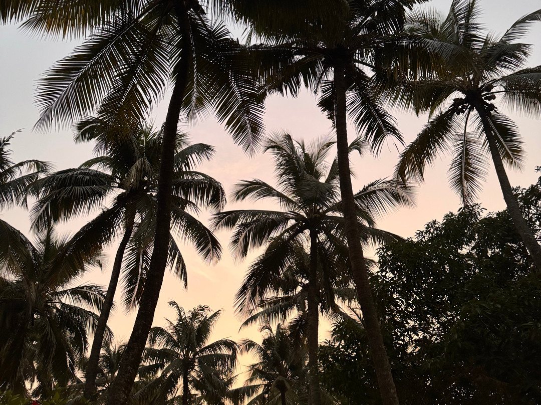 The Nattika Beach Resort主图