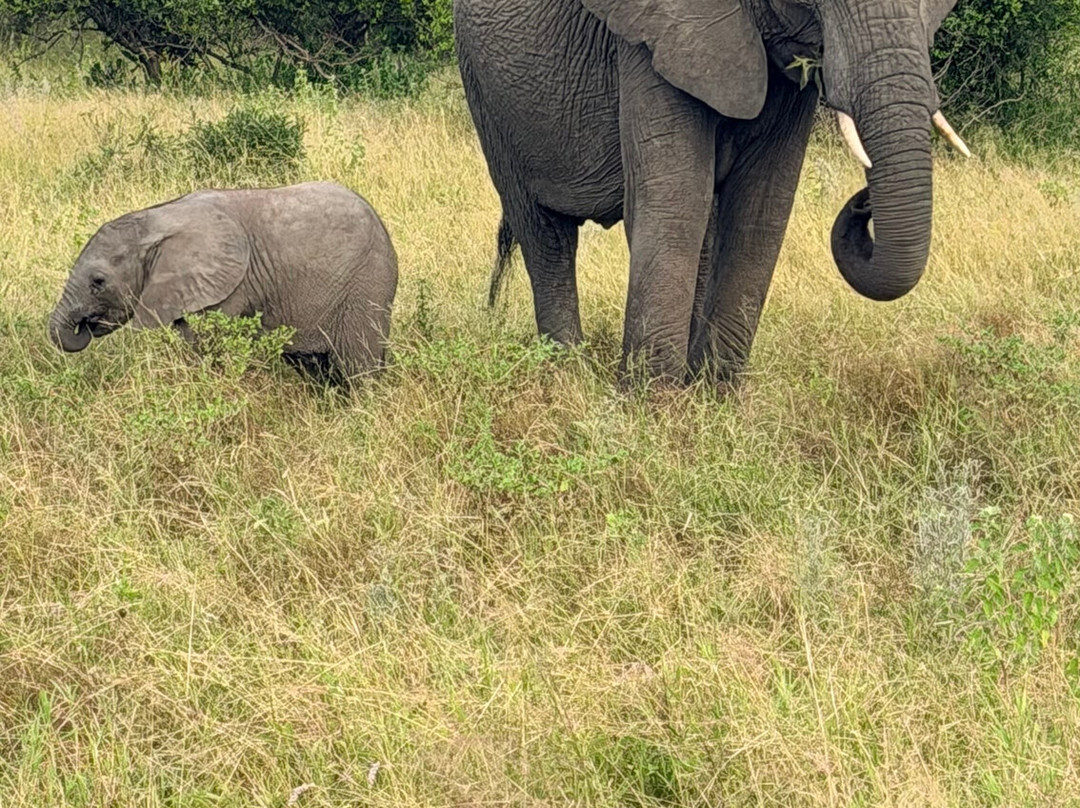 Wild Eye-弗维斯必去景点