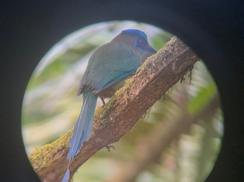 Rancho Tropical-希门尼斯港必去景点