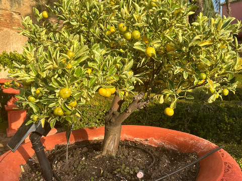 Palacio Portocarrero-Palma Del Rio必去景点
