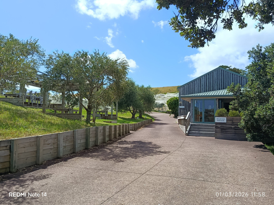 Kennedy Point Vineyard-Surfdale必去景点