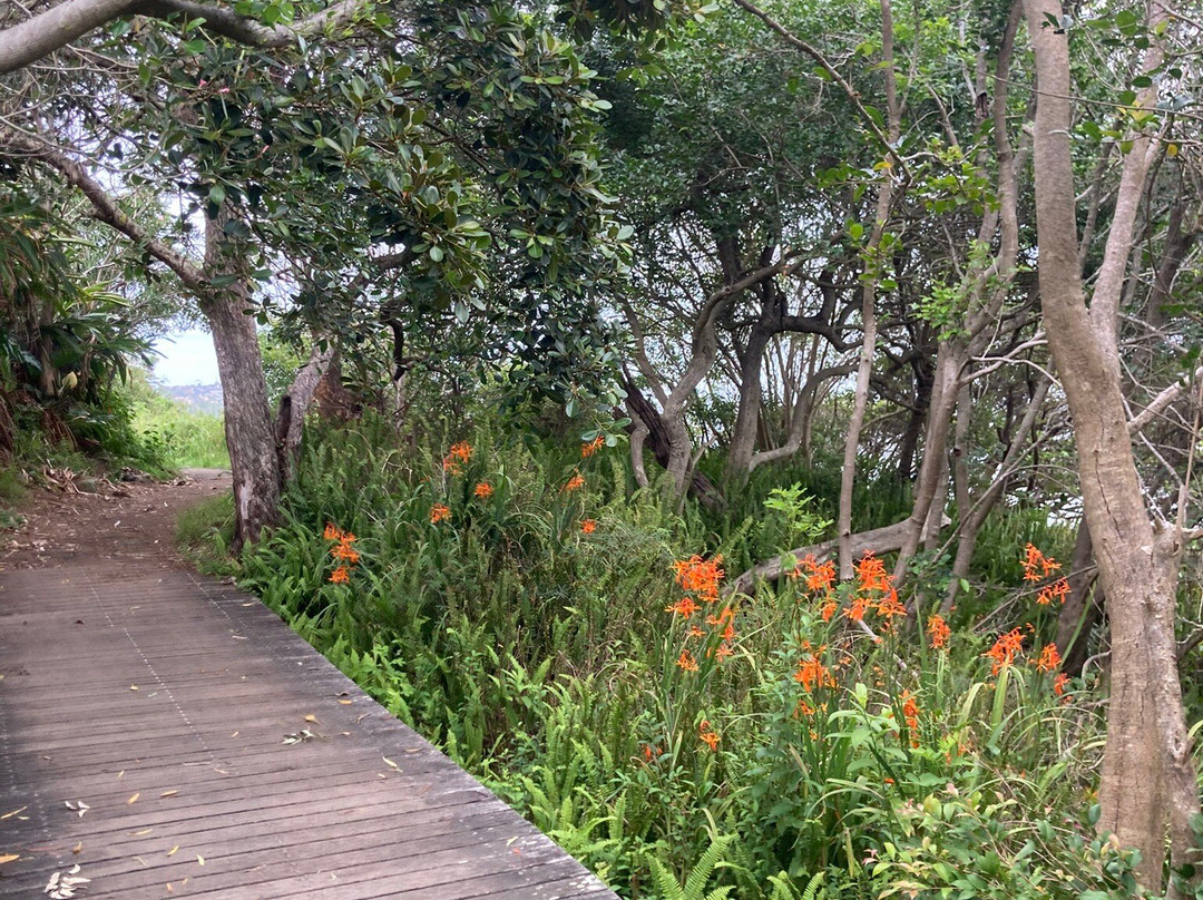 悉尼湾国家公园-莫斯曼必去景点