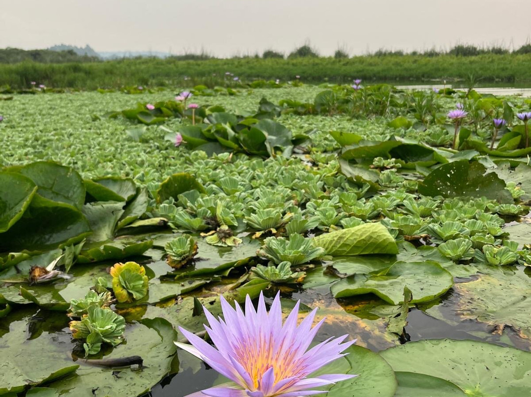 Muyaayu Wild Safaris-Mpigi必去景点