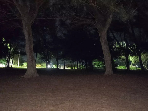 Praia Grussai-Sao Joao Da Barra必去景点