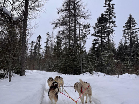 Expedition Wolf-Riviere-Rouge必去景点
