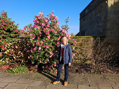 Chartwell-Westerham必去景点