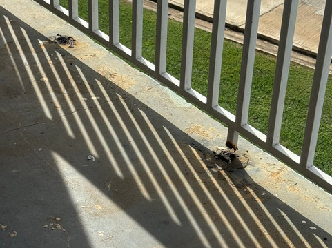 彭塔波林奎恩度假村主图