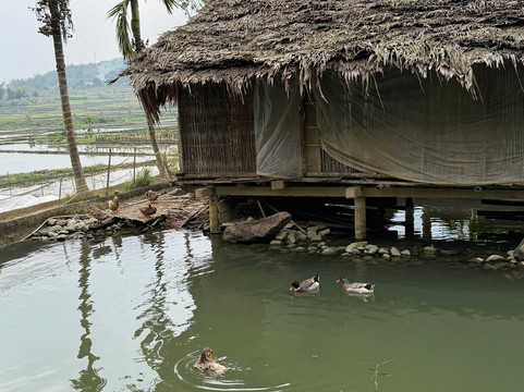 Andy Tourist-河内必去景点