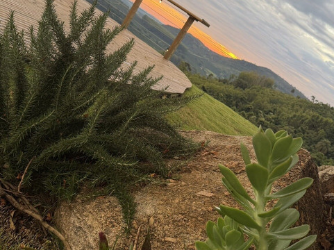 Vinícola Merum-Espirito Santo Do Pinhal必去景点