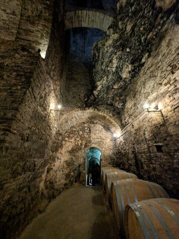 De'Ricci Cantine Storiche-蒙特普尔恰诺必去景点