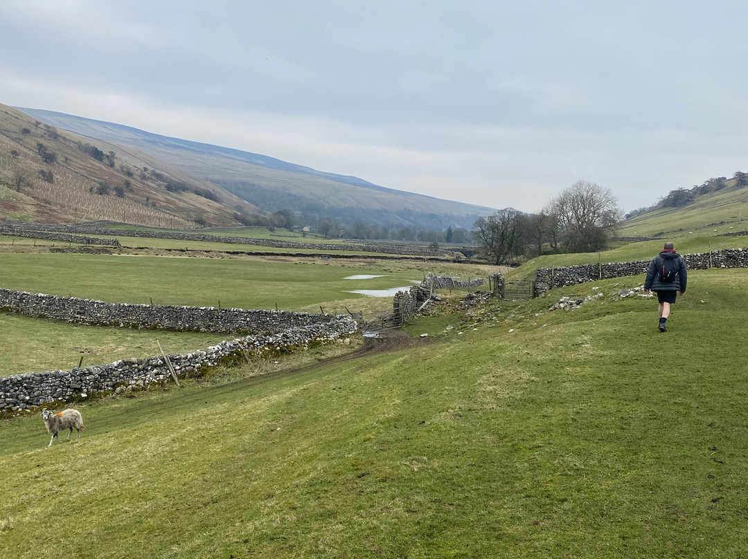 里顿皇后酒店主图