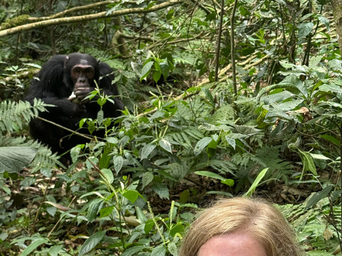 Africa Tours Adventure-坎帕拉必去景点