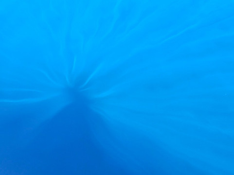 Paradise One Sports Fishing Charters-Somerset Village必去景点