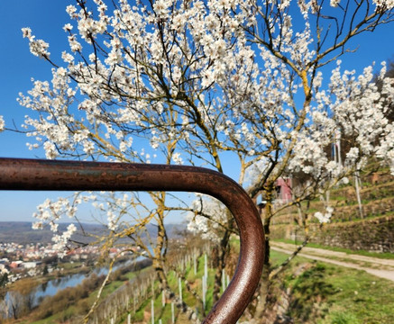 terroir f Churfranken-埃兰巴克必去景点