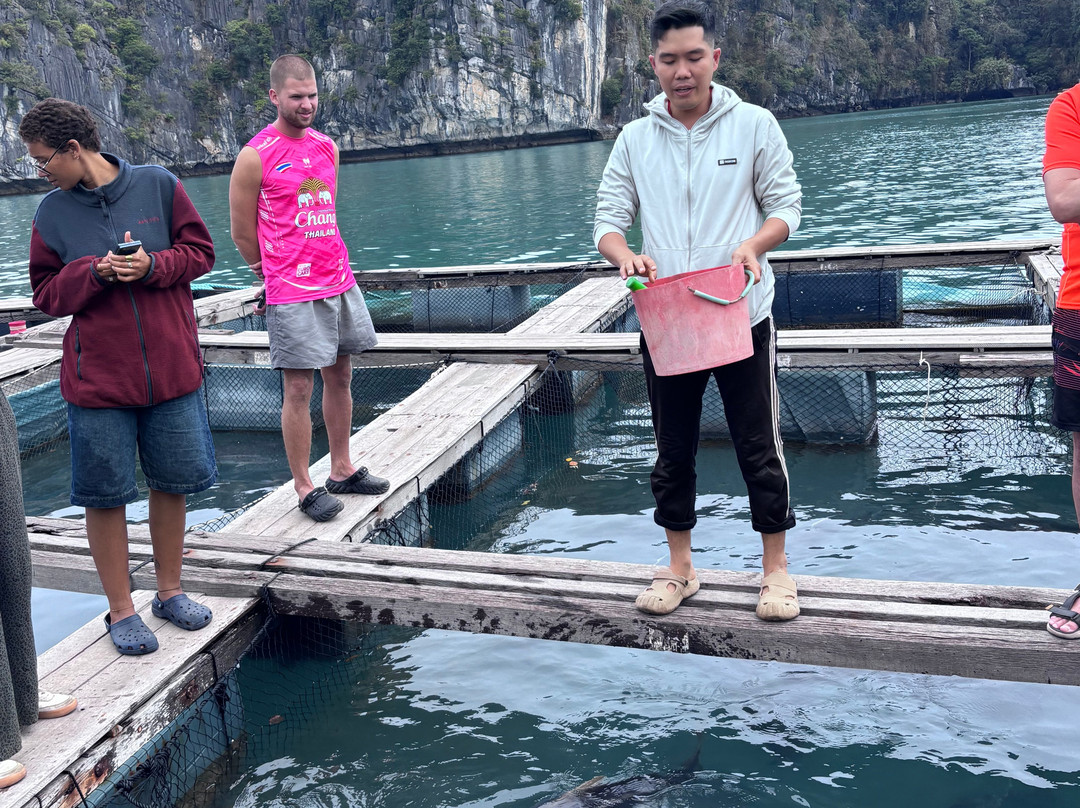 Cat Ba Green Trail Travel-Cat Ba Town必去景点